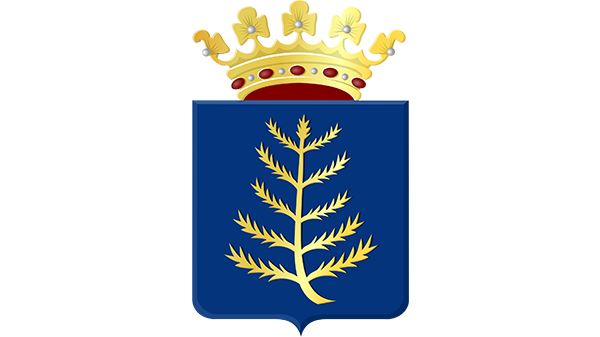 Wapen gemeente Rijssen Wapen gemeente Rijssen - in kleur op transparante achtergrond - 600 * 337 pixels